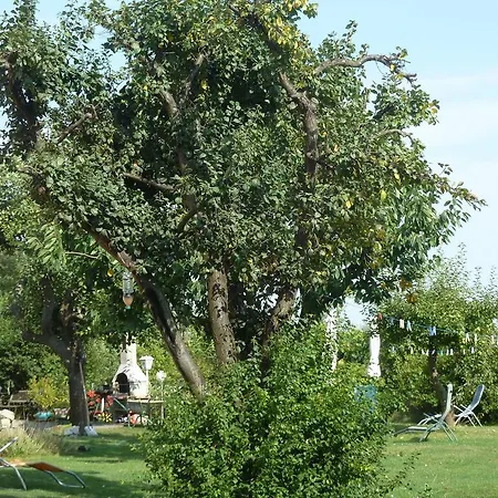 Pleasant Holiday In Malchow Near The Beach *