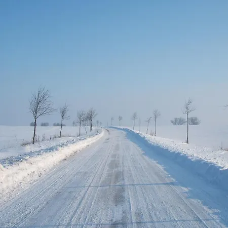 Pleasant Holiday In Malchow Near The Beach Ferienhaus *